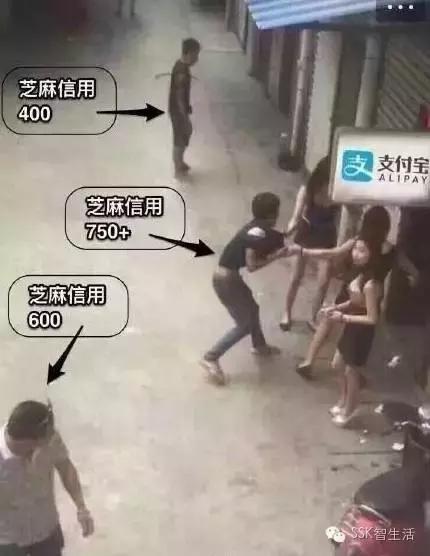 支付鸨事件来历,支付鸨事件