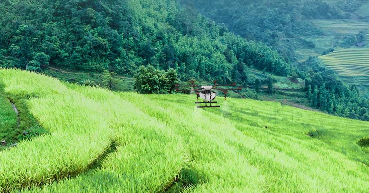 日本人的脑洞好吗,日本人的脑洞只有韩国人能比吗