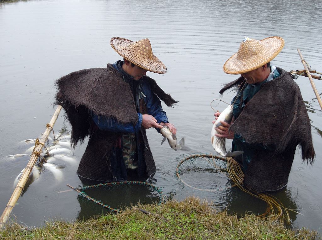 钓鱼走水绝密技巧,钓鱼保持鱼鲜活小技巧