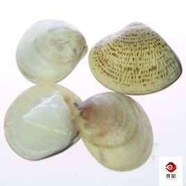 明明很好用却消失的化妆品,那些被时代抛弃的化妆品