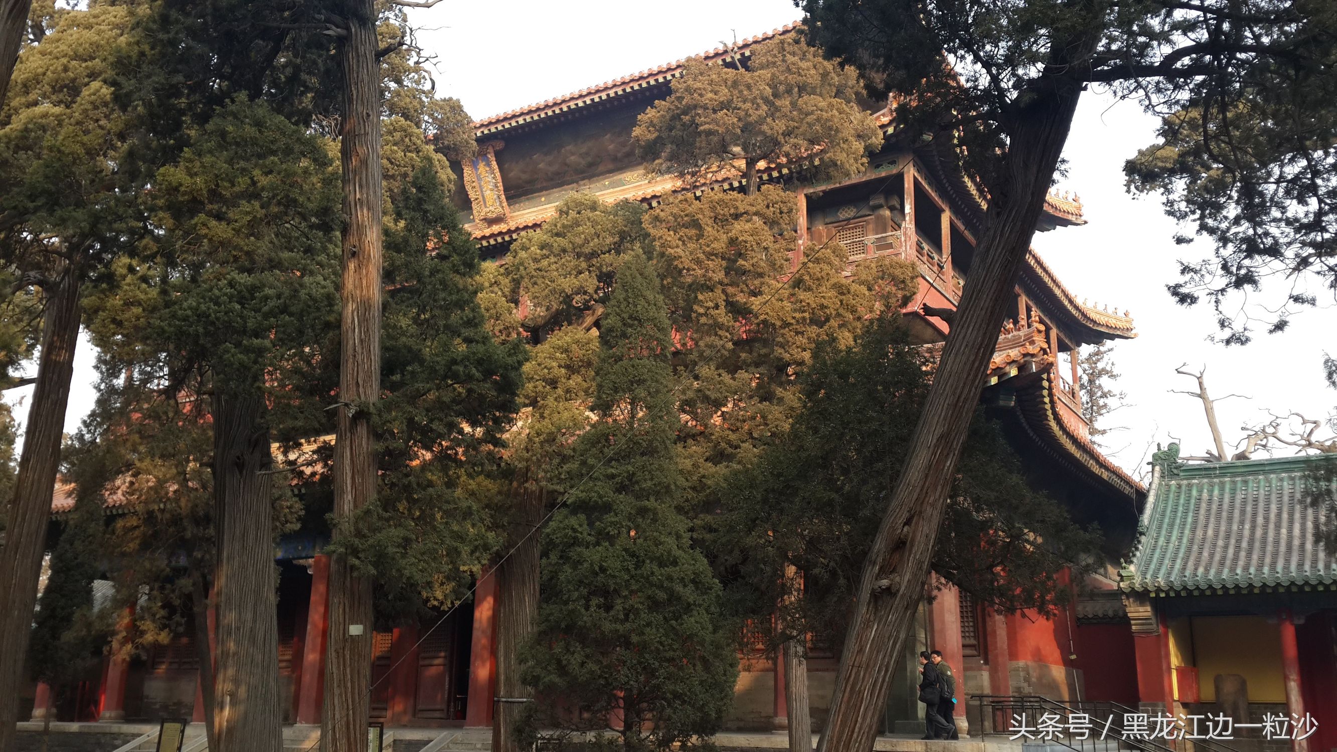 曲阜孔庙旅游免费攻略,走进孔子的故乡山东曲阜孔庙