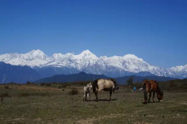 成都川西小环线4天自驾免费景点,成都自驾川西景点推荐
