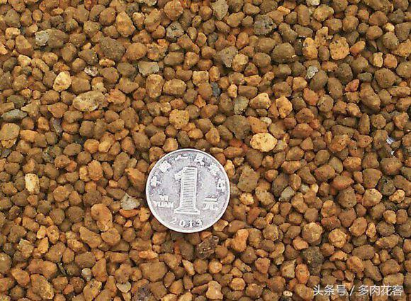 粗河沙可以当多肉的铺面石吗,多肉铺面石用小石子可以吗