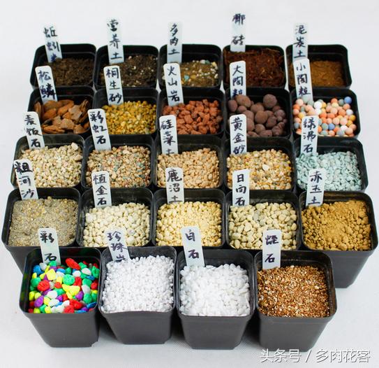 粗河沙可以当多肉的铺面石吗,多肉铺面石用小石子可以吗