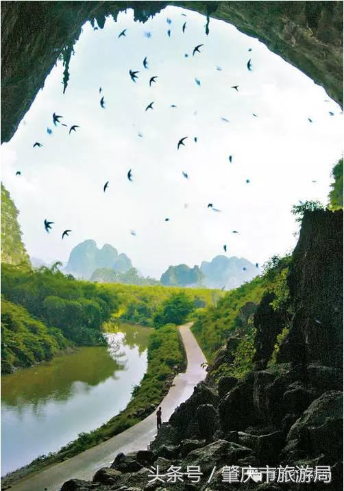 广肇城际轻轨最新官方消息,广肇城际在广州哪儿上车