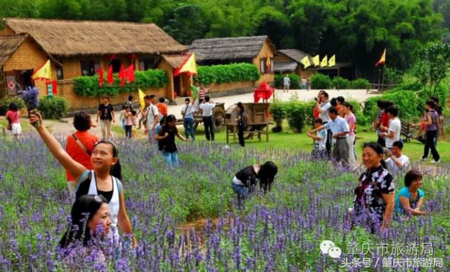 广肇城际轻轨最新官方消息,广肇城际在广州哪儿上车