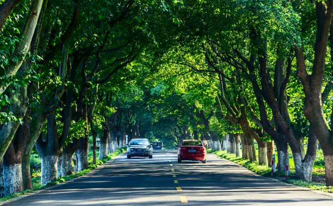 宜兴人为什么很幸福,宜兴人为何淳朴