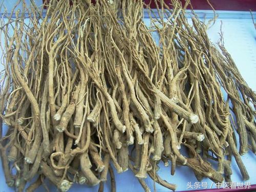 护肝退热的草药,清热散火平肝利胆的野草有哪些