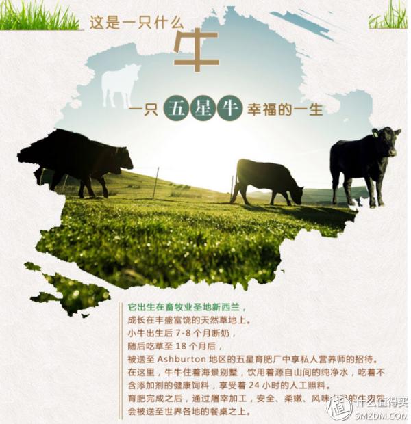 如何在中粮网上团购,中粮网上怎么卖