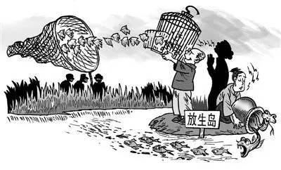 放生还是造孽完整版,有一种造孽叫做放生