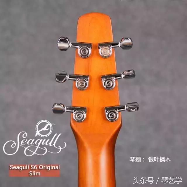 乐器推荐口琴,乐器测评便宜尤克里里