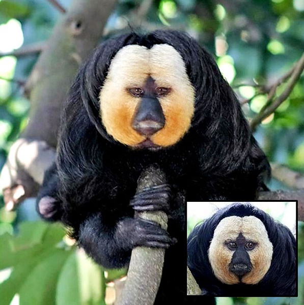 探索世界奇葩物种,奇葩的生物探索