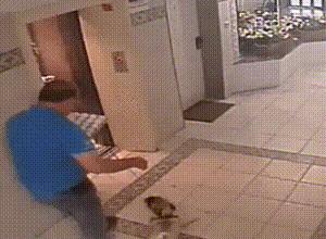 死神来了大结局免费看,死神来了幸存人结局