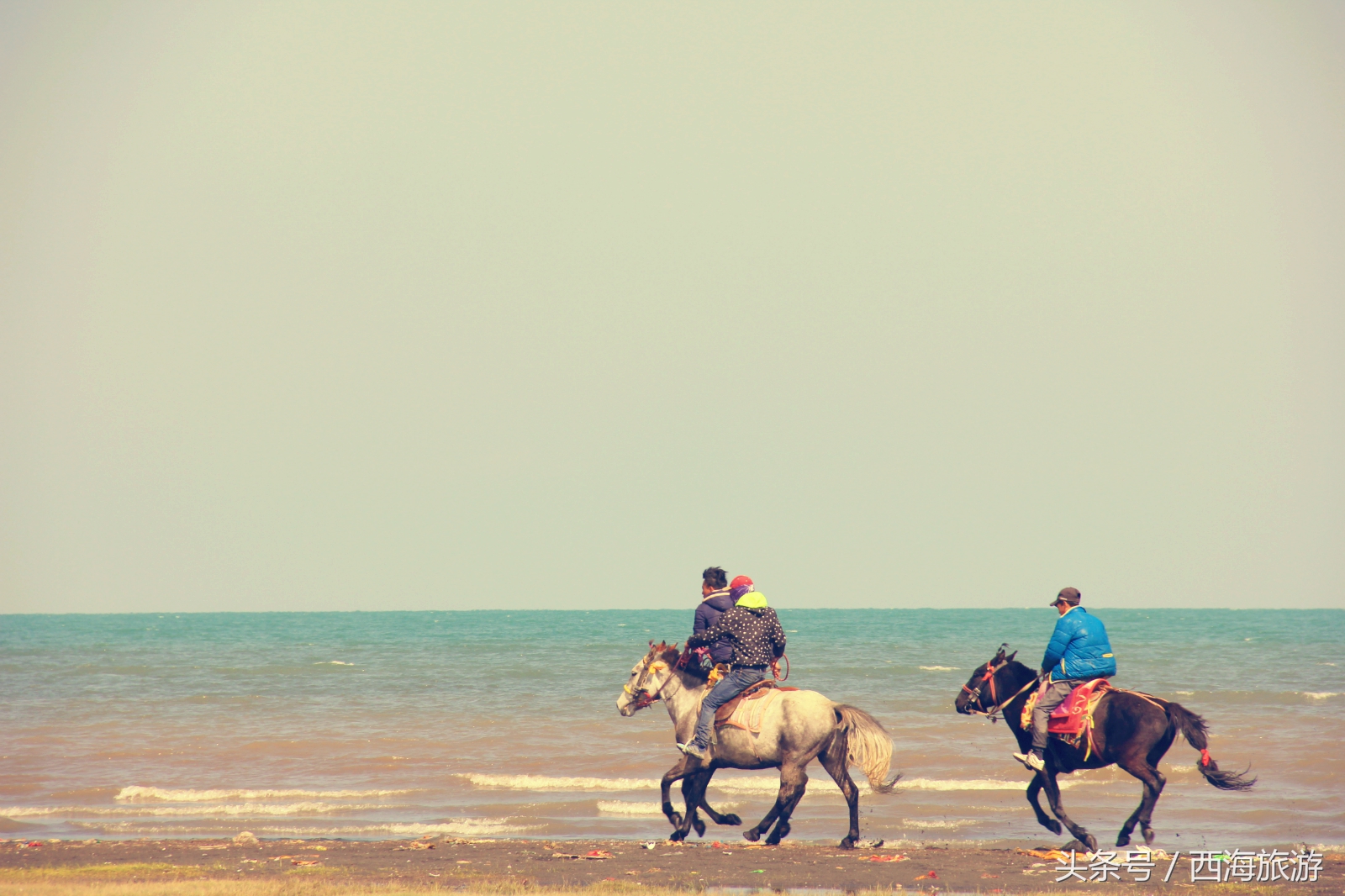 刀郎《西海情歌》背后的故事,刀郎的西海情歌指的是哪里的海