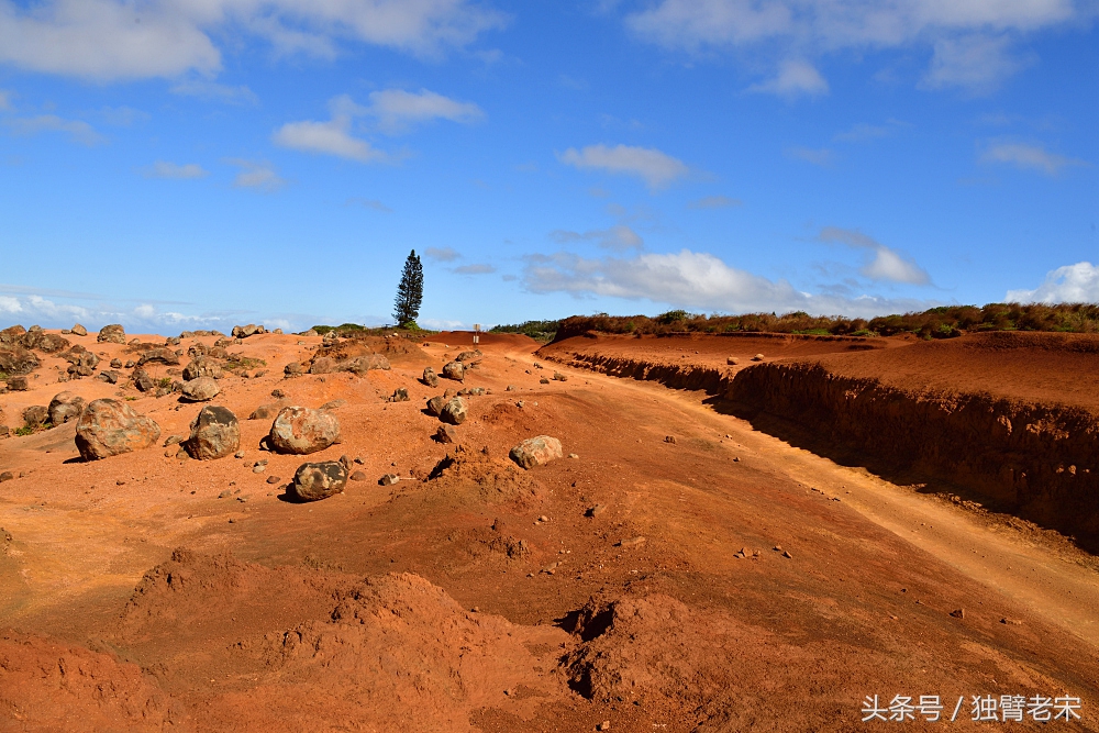 夏威夷|风之魔力,火山星球