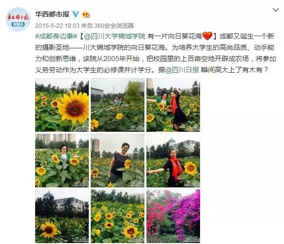 成都锦城学院大学最大食堂,川大锦城学院7个食堂