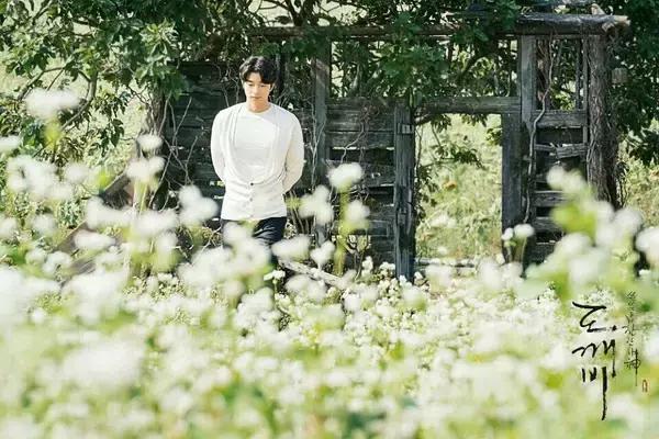 900岁鬼叔与人类少女、地狱使者互撩，绝逼年度最佳韩剧