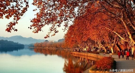 伙呆！杭州遇上地中海，是场最美丽的意外！