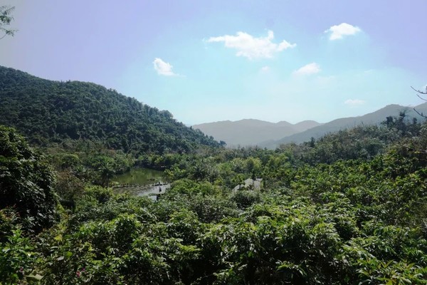 全家到三亚,全家去三亚过春节费用