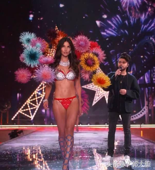 衣不如新人不如旧出处,衣不如新人不如旧下一句