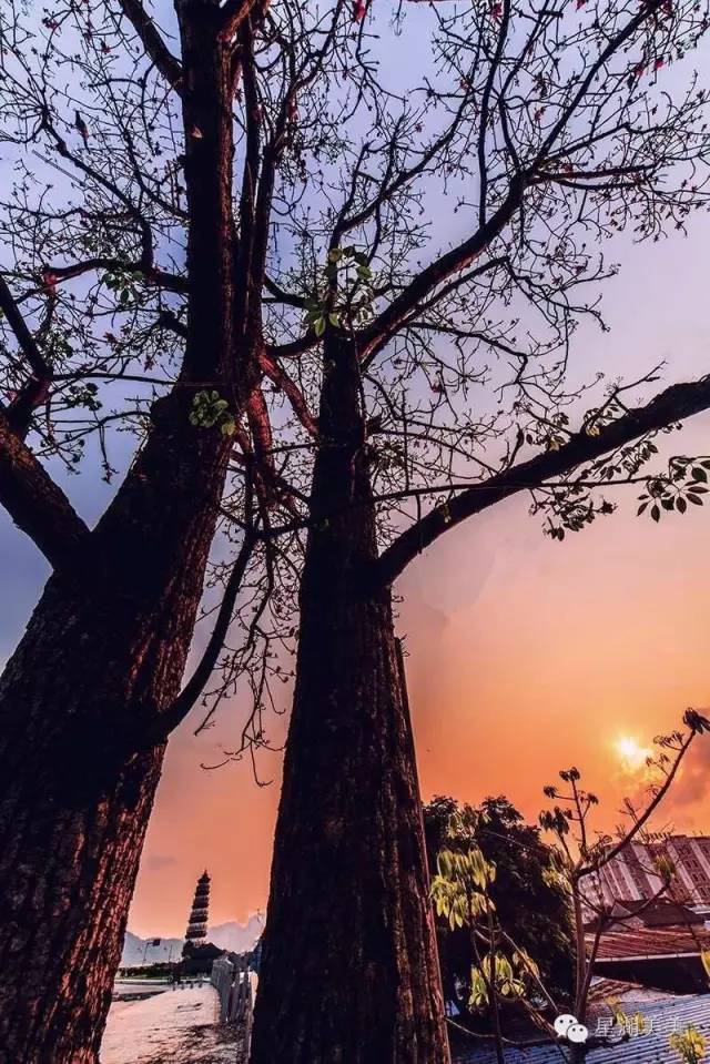 肇庆风水最旺的地方,肇庆市的风水格局