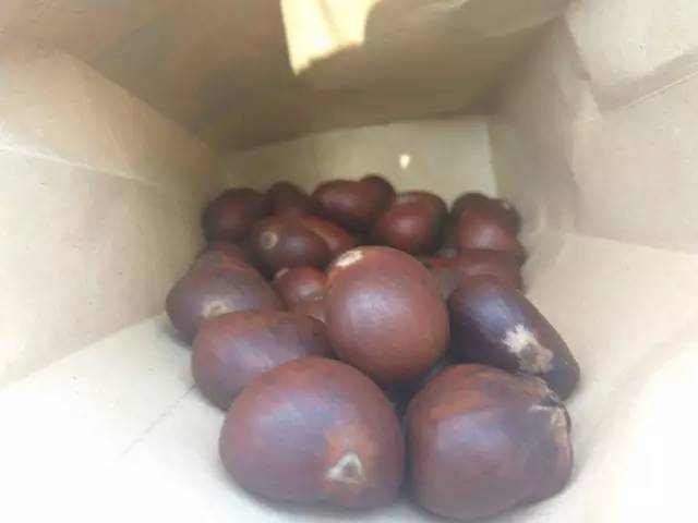 聊城网红巷子小吃,聊城传说中的网红店