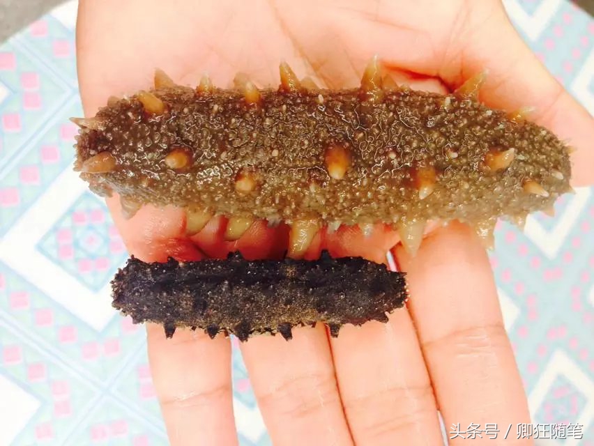 曝光：去了一次长岛渔家乐，真心再也不想去了！