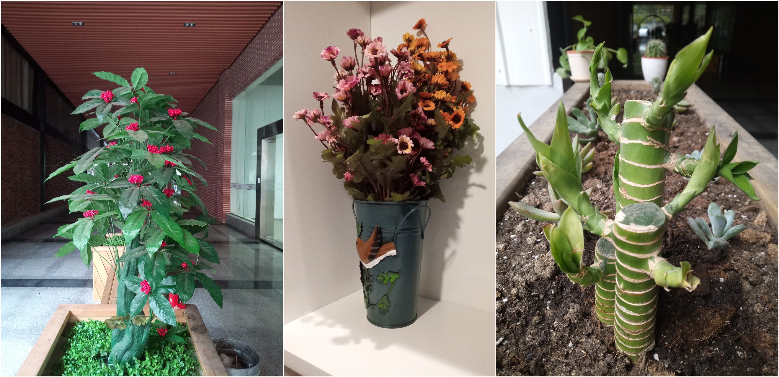 假面骑士异类亚极陀shf测评,moto摩托评测