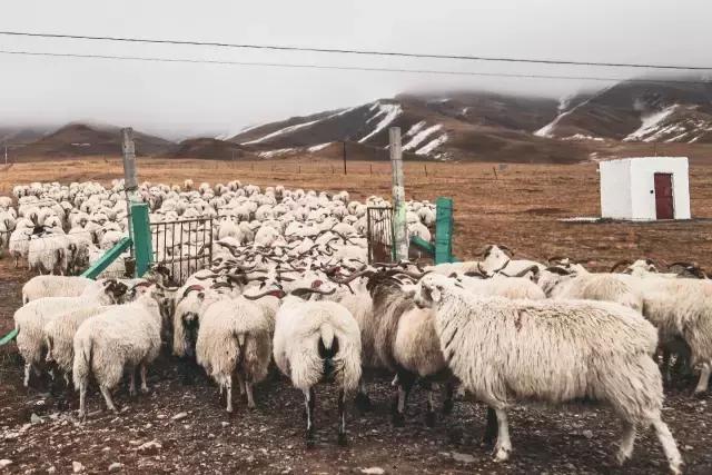 旅行必备阻门器,旅行防盗阻门器