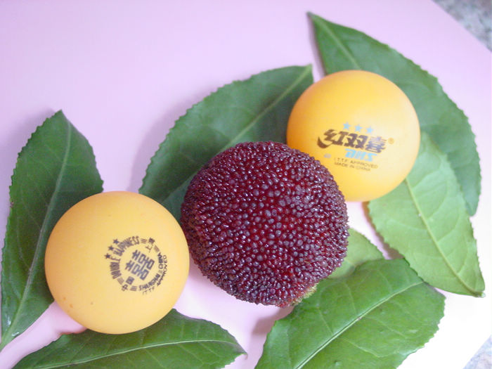 最美摩旅地方,国庆7天摩旅最美路线