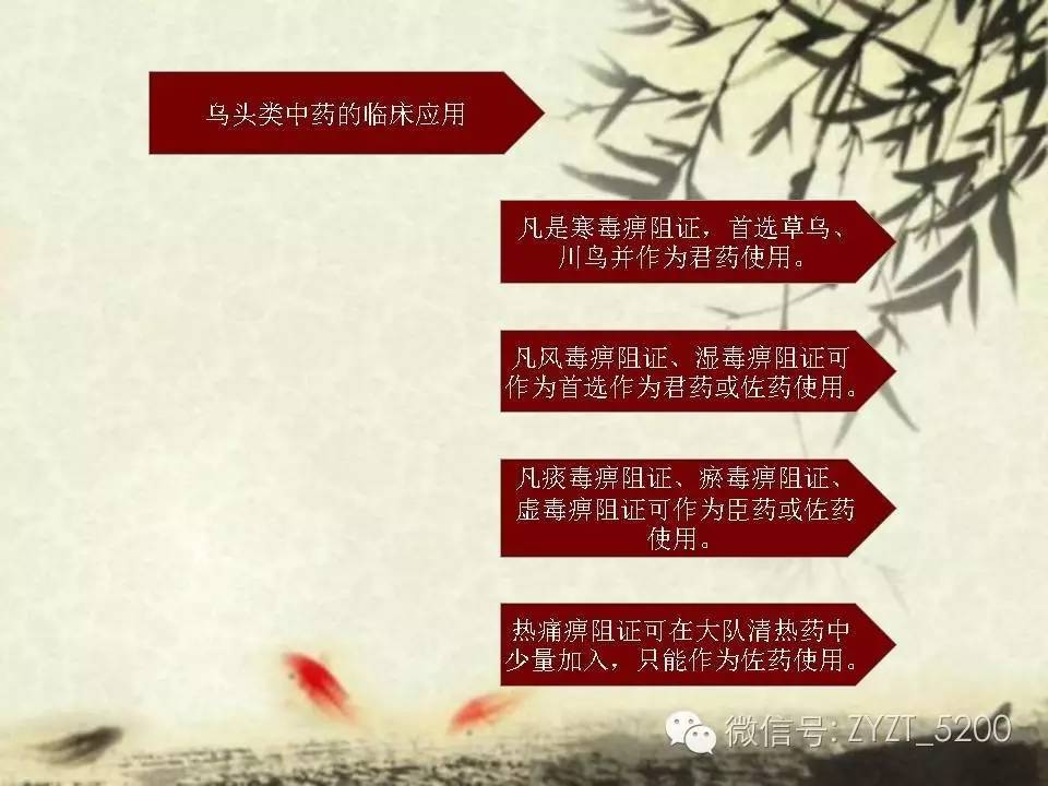 高鑫风湿医生,高鑫中医