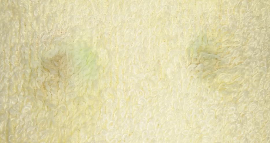 第一次使用舒客电动牙刷的体验,舒客电动牙刷更适合哪个牌子牙膏