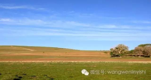 图与真相:什么是胸骨裂?