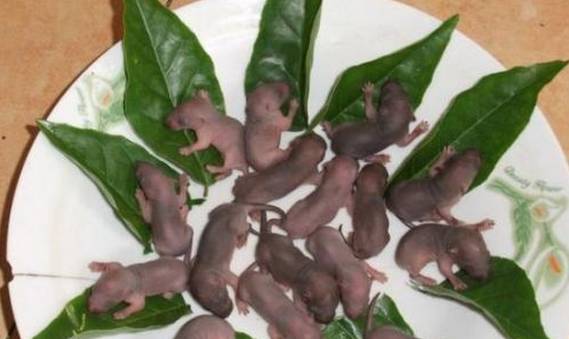 三明有没有好吃的啊,三明美食推荐必吃第一名