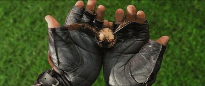 神奇动物中的咒语都有哪些,看神奇动物需要知道的事