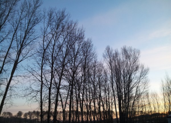 在北方思念南方的家,在南方想念北方下雪的句子