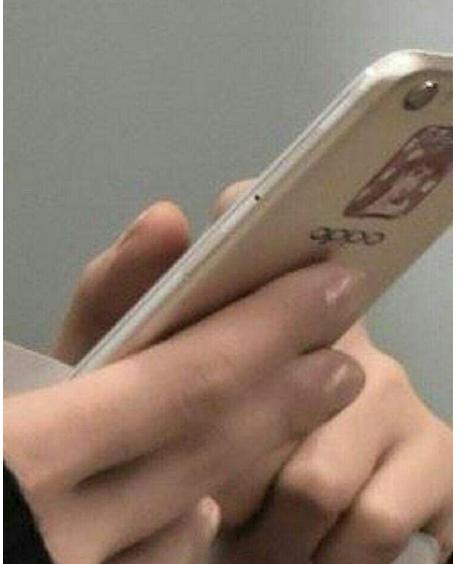 杨幂背奢侈品包,杨幂最近机场同款背包