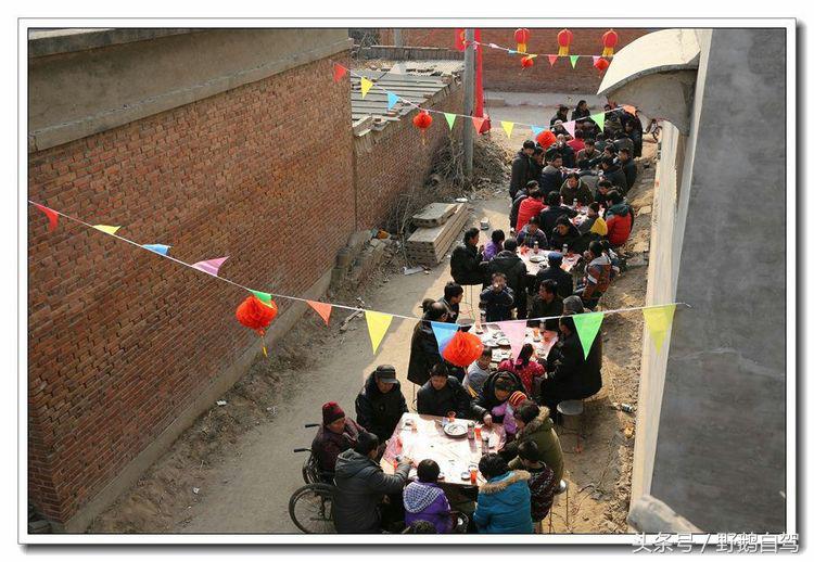 野鹅自驾甘肃,野鹅自驾