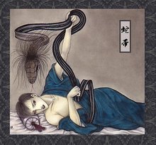 百鬼夜行玉藻前皮肤,新手玉藻前和姑获鸟哪个值得培养