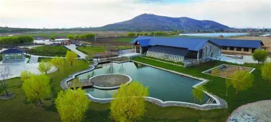 农业怎么做才能让农民受益,农场怎么做才能火起来