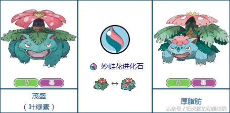 口袋妖怪xy有mega进化吗,口袋妖怪xymega进化图