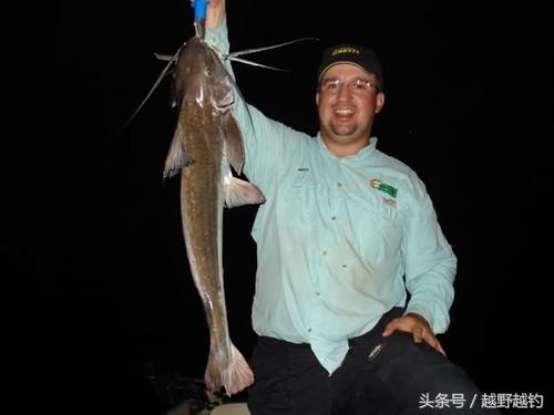 亚马逊钓鱼钓到最大的鱼,亚马逊钓到1吨的鱼