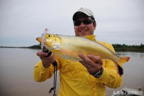 亚马逊钓鱼钓到最大的鱼,亚马逊钓到1吨的鱼