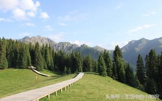 妈妈的生日礼物礼物,简单的送给妈妈的生日礼物