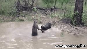 快递分拣都怎么分拣,你知道快递经过哪些步骤吗