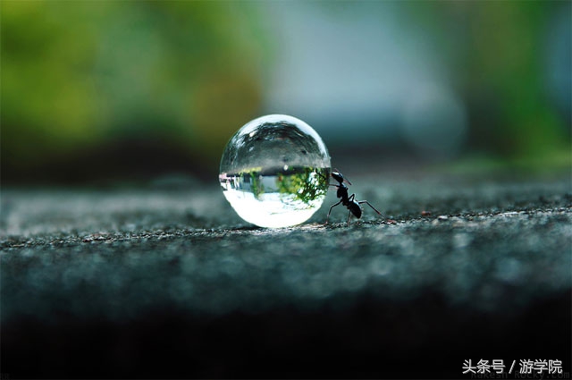 摄影答疑,解答摄影问题