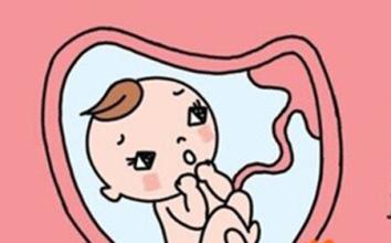 胎膜早破患者的处理措施,胎膜早破是指胎膜何时破裂