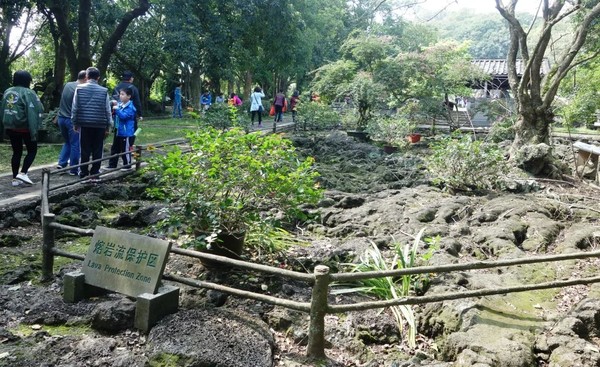 全家到三亚,全家去三亚过春节费用