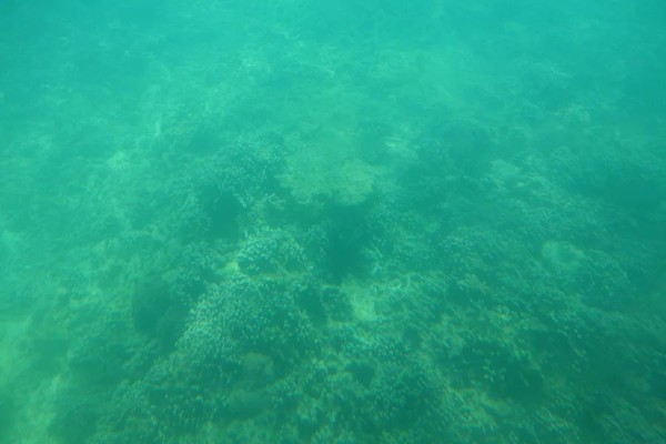 全家到三亚,全家去三亚过春节费用