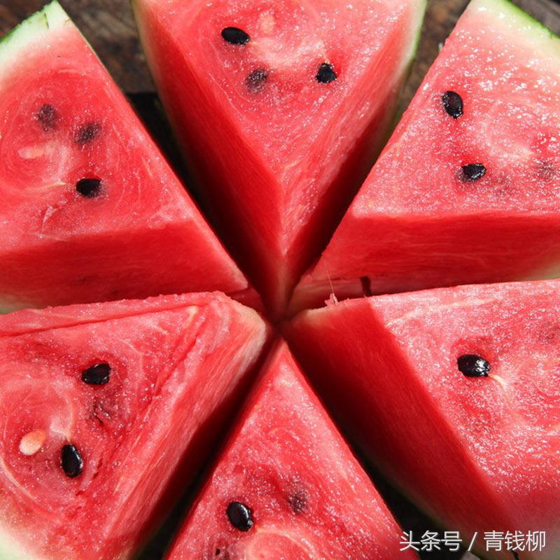 大棚麒麟西瓜基地,麒麟西瓜种子催芽方法